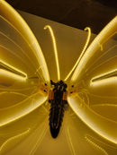 BORBOLETA 80CM COM LED WARM COM SUPORTE BIVOLT